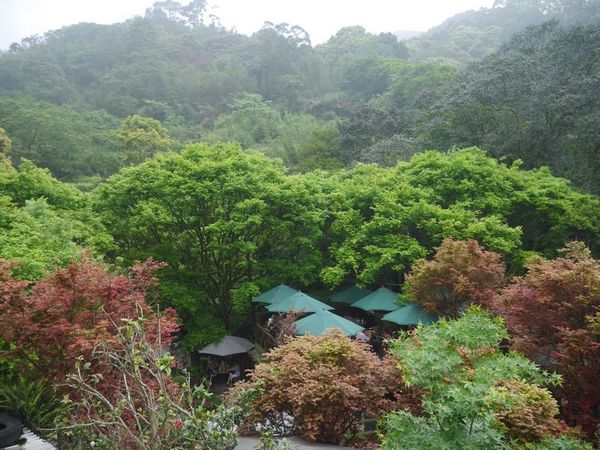 tn_P1260445.JPG tn_P1260445.JPG