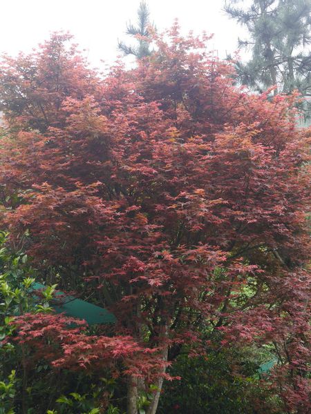 tn_P1260424.JPG tn_P1260424.JPG