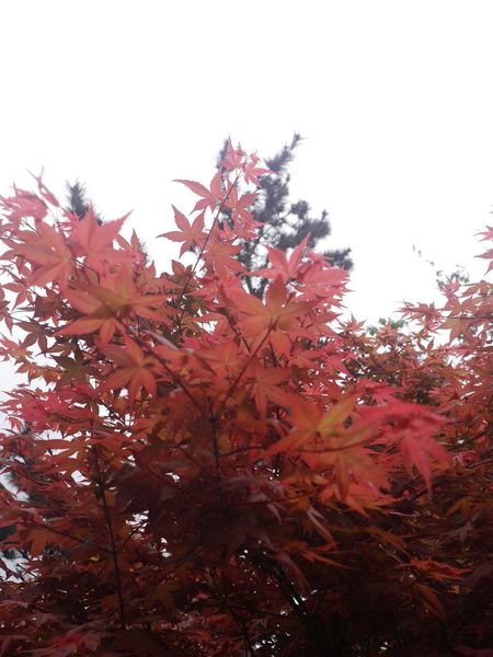 tn_IMG_62561.JPG tn_IMG_62561.JPG