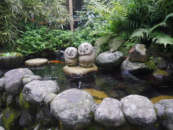 tn_P1260468.JPG tn_P1260468.JPG