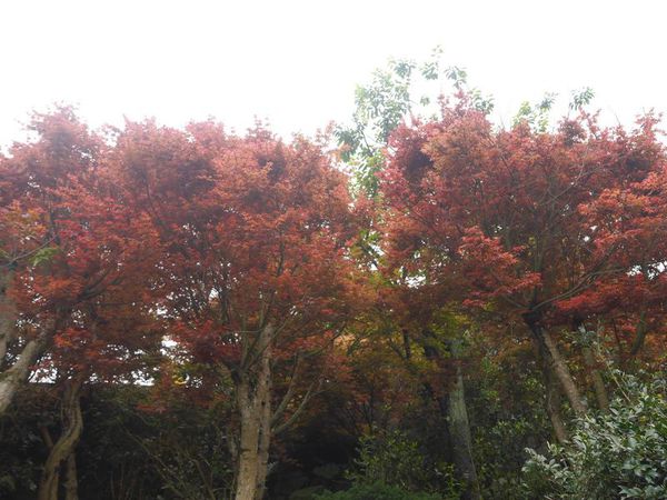 tn_P1260324.JPG tn_P1260324.JPG