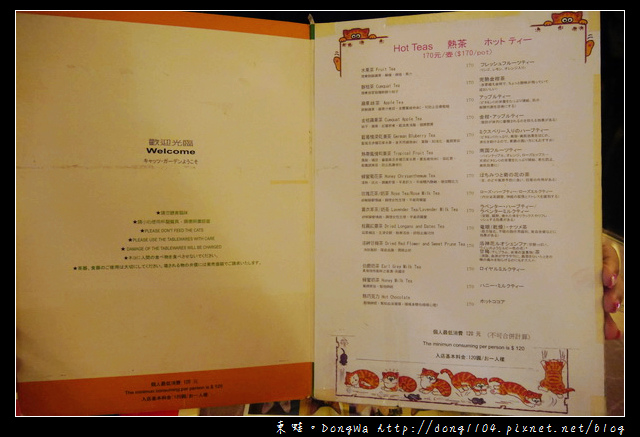 台北食記 貓咪咖啡館 超多貓咪陪喝下午茶 芝山捷運站旁 小貓花園 Walkerland窩客島 我傳媒walkermedia