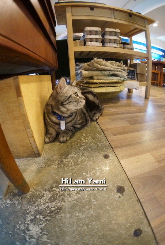 Cafe Ballet芭蕾咖啡館_7711 Cafe Ballet芭蕾咖啡館_7711