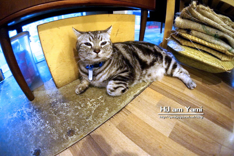 Cafe Ballet芭蕾咖啡館_6017 Cafe Ballet芭蕾咖啡館_6017