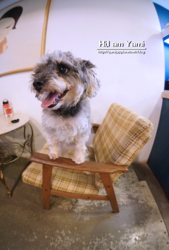 Cafe Ballet芭蕾咖啡館_5758 Cafe Ballet芭蕾咖啡館_5758