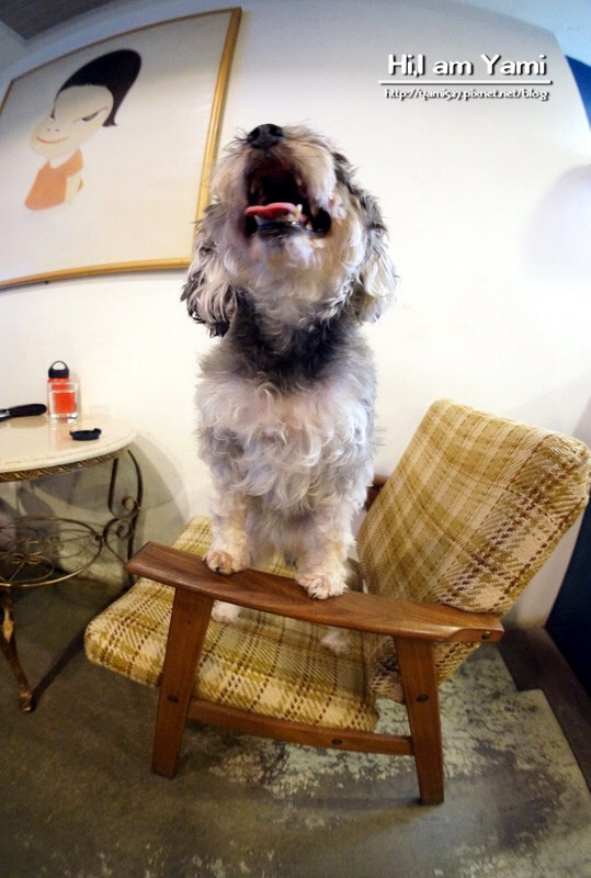 Cafe Ballet芭蕾咖啡館_2334 Cafe Ballet芭蕾咖啡館_2334