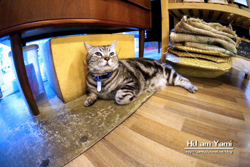 Cafe Ballet芭蕾咖啡館_2993 Cafe Ballet芭蕾咖啡館_2993