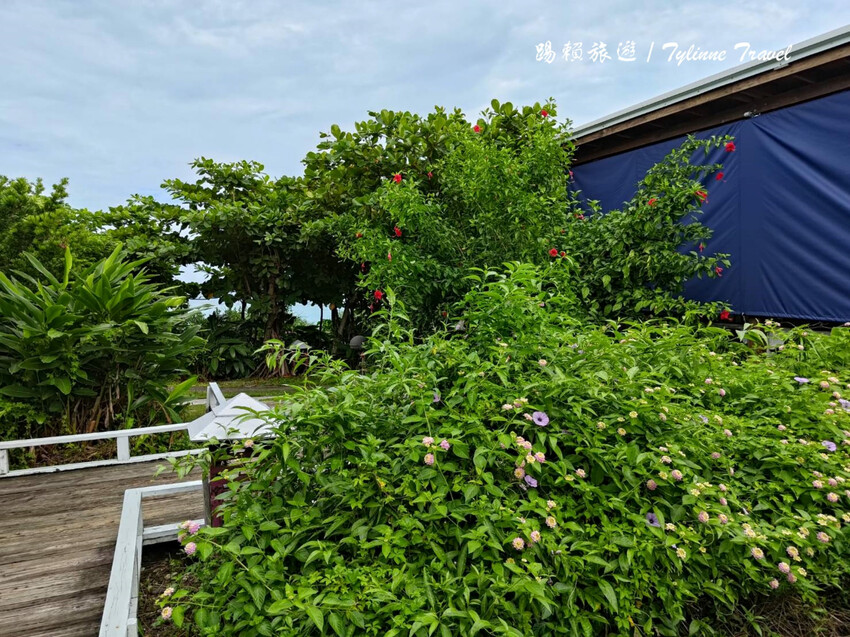 花蓮縣新城鄉【花蓮美食】原野牧場,七星潭海景咖啡廳 | 新鮮羊奶飲品、精緻異國料理 | 寵物友善餐廳 | 花蓮新城鄉美食推薦