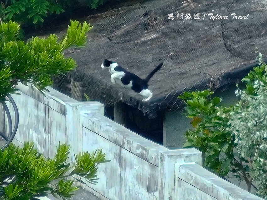 花蓮縣新城鄉【花蓮美食】原野牧場,七星潭海景咖啡廳 | 新鮮羊奶飲品、精緻異國料理 | 寵物友善餐廳 | 花蓮新城鄉美食推薦