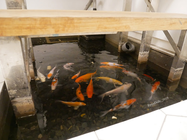 2020, winter 走吧台北哪裡吃美食:士林區 天母美食 網美打卡 無添加天然食材 超療癒早午餐 topo+ cafe 及拓樸本然空間設計