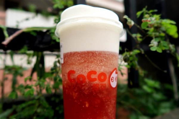 coco都可(新莊中平店)：COCO法式奶霜 法國鐵塔牌鮮奶油 文青漸層飲料打卡 奶霜綠茶/奶霜草莓果肉/奶霜咖啡買一送一~