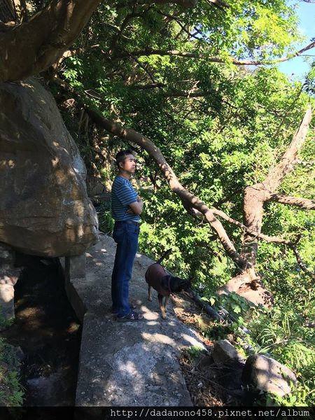 15823212_661466007358162_979519911308741573_n