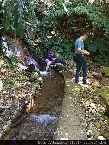 15822787_661466104024819_8545529113694300345_n