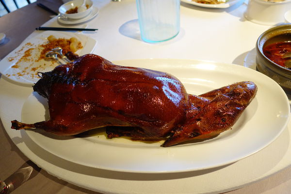 照片 157 照片 157