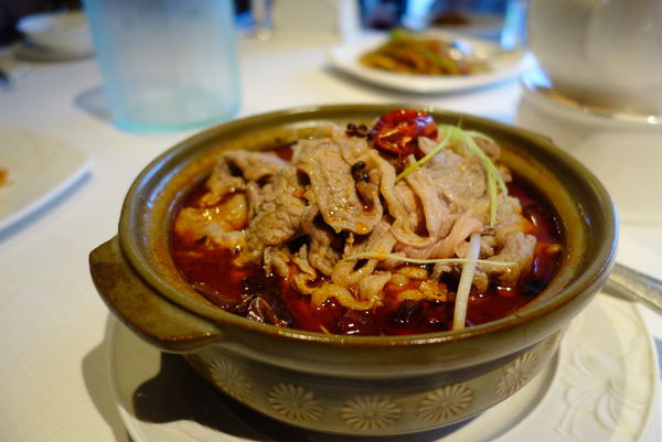 照片 156 照片 156