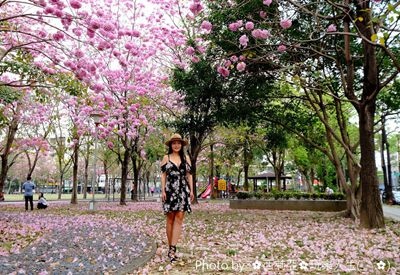 1491725350-152291543_l_副本.jpg 1491725350-152291543_l_副本.jpg