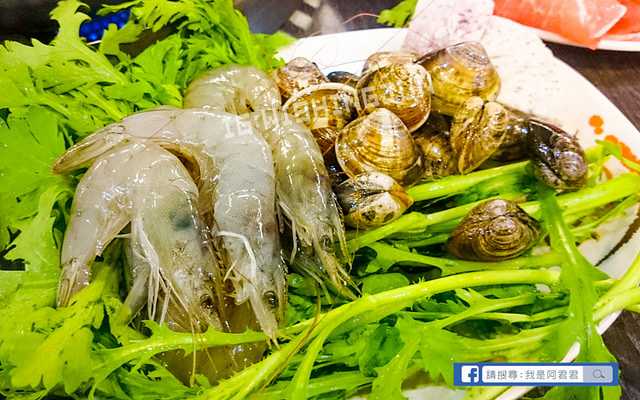 板橋小林麻辣火鍋沙茶石頭火鍋_阿君君-0014