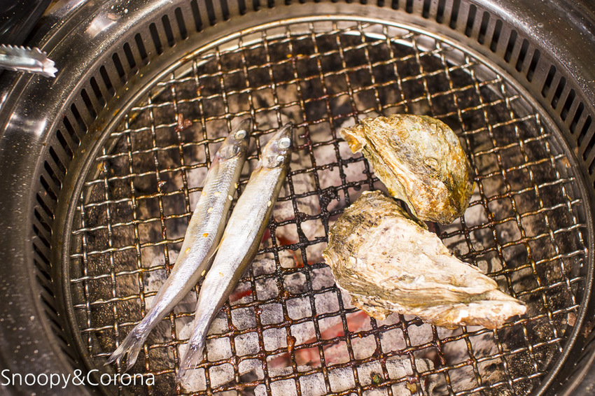 【新北市美食】板橋燒烤吃到飽|燒惑日式炭火燒肉店~生日送和牛套餐、KIRIN Bar啤酒無限暢飲