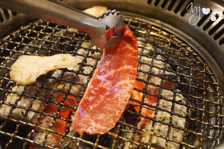 安格斯黑牛 (3).jpg 安格斯黑牛 (3).jpg