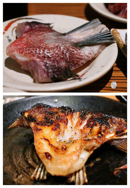 久天/ Kate's FZ 久天/ Kate's FZ