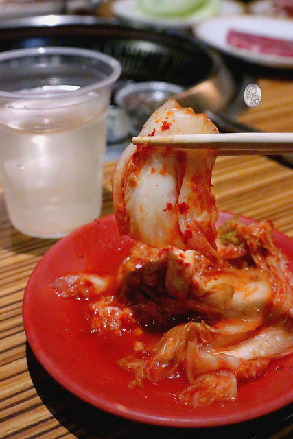 久天/ Kate's FZ 久天/ Kate's FZ