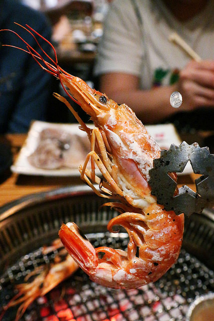 久天/ Kate's FZ 久天/ Kate's FZ