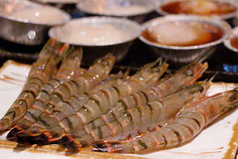 久天/ Kate's FZ 久天/ Kate's FZ