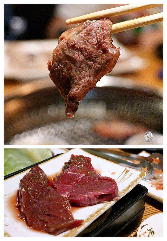 久天/ Kate's FZ 久天/ Kate's FZ