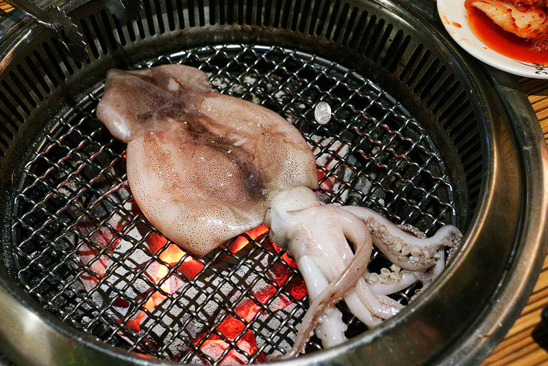 久天/ Kate's FZ 久天/ Kate's FZ