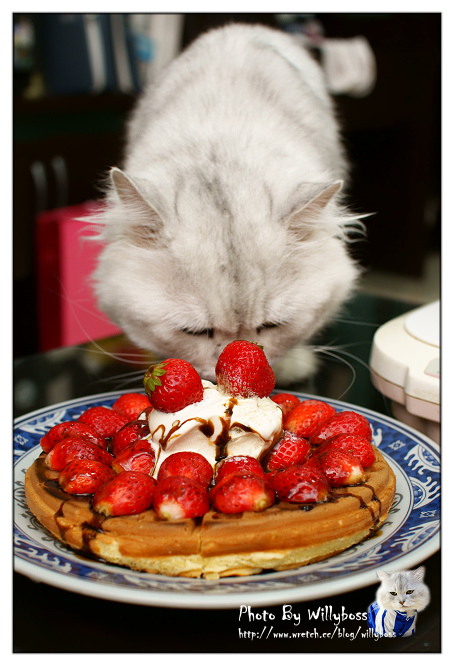 試吃－182巷鬆餅廚房(台北板橋)