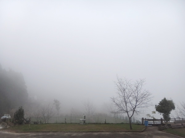 浮雲杉林民宿：浮雲杉林民宿-雪霸國家公園附近超推薦住宿  四季皆有不同的美景  主人家超親切  而且餐點特別又好吃