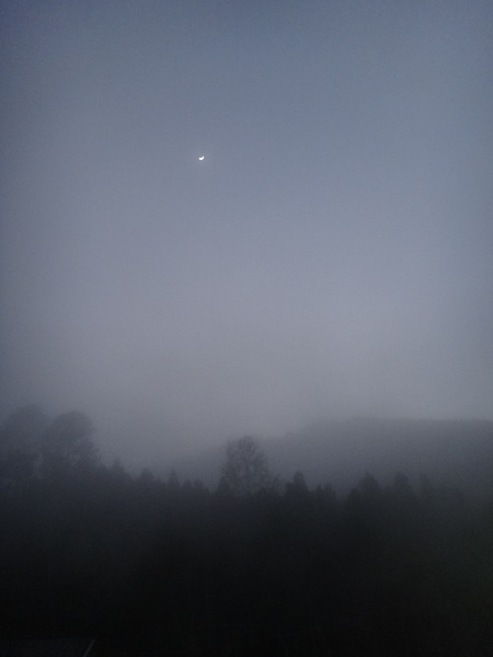 浮雲杉林民宿：浮雲杉林民宿-雪霸國家公園附近超推薦住宿  四季皆有不同的美景  主人家超親切  而且餐點特別又好吃