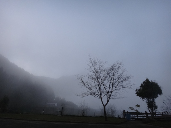 浮雲杉林民宿：浮雲杉林民宿-雪霸國家公園附近超推薦住宿  四季皆有不同的美景  主人家超親切  而且餐點特別又好吃