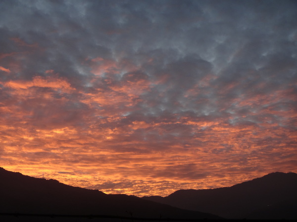 浮雲杉林民宿：浮雲杉林民宿-雪霸國家公園附近超推薦住宿  四季皆有不同的美景  主人家超親切  而且餐點特別又好吃