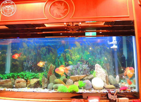 特香齋西餐廳:呷飽祙【新北板橋・特香齋西餐廳】板橋老字號西餐廳 特香齋西餐廳:呷飽祙【新北板橋・特香齋西餐廳】板橋老字號西餐廳