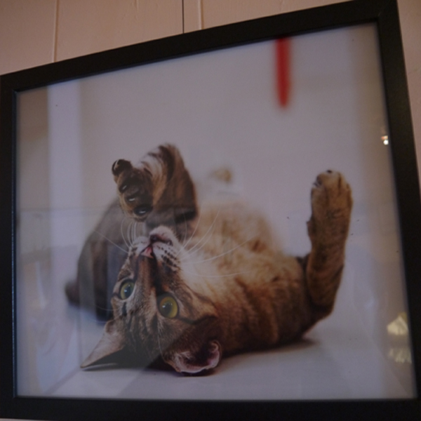 Le Rouge 藍帶主廚義法料理，價格十分平易近人喔！！