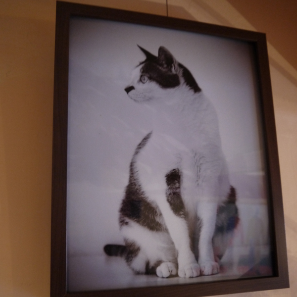 Le Rouge 藍帶主廚義法料理，價格十分平易近人喔！！