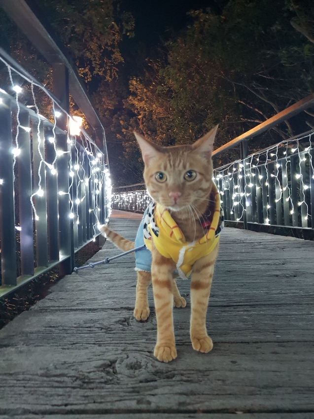 242718_0.jpg - 【屏東.四重溪】茴香戀戀溫泉會館。大眾池超美cp質超高。當地人推薦泉質最好的溫泉店 242718_0.jpg - 【屏東.四重溪】茴香戀戀溫泉會館。大眾池超美cp質超高。當地人推薦泉質最好的溫泉店