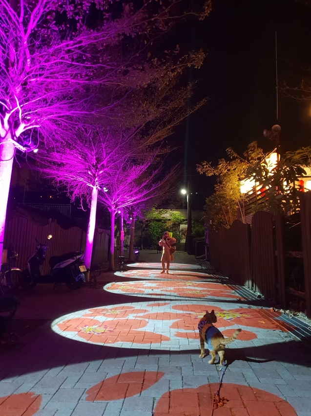 242722.jpg - 【屏東.四重溪】茴香戀戀溫泉會館。大眾池超美cp質超高。當地人推薦泉質最好的溫泉店 242722.jpg - 【屏東.四重溪】茴香戀戀溫泉會館。大眾池超美cp質超高。當地人推薦泉質最好的溫泉店