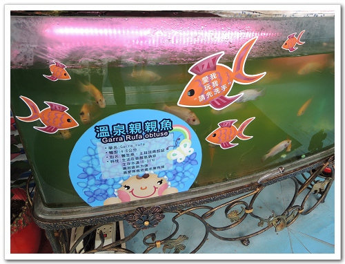 《幸福行》墾丁四重溪‧茴香戀戀溫泉會館愛情水療SPA