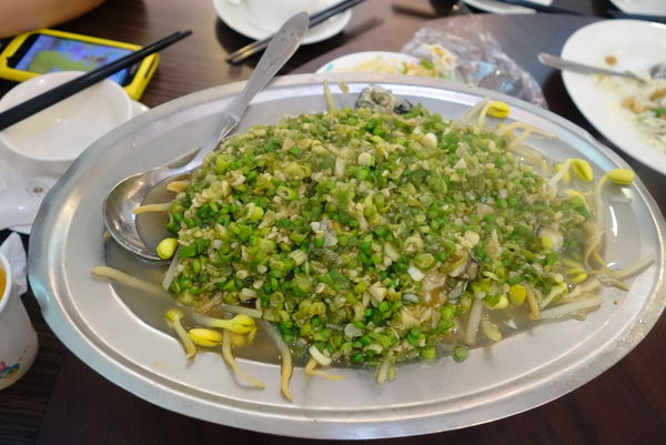 照片 490 照片 490