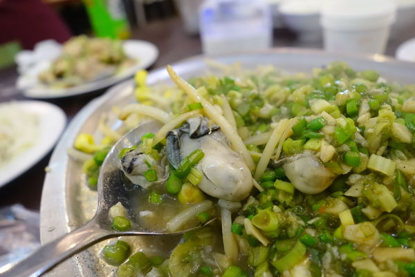 照片 495 照片 495