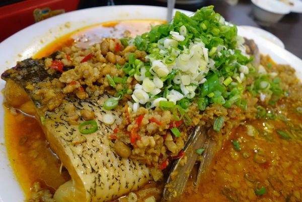 照片 513 照片 513