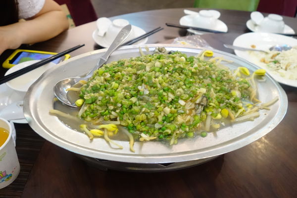 照片 489 照片 489