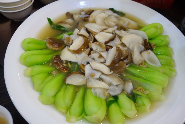 照片 542 照片 542