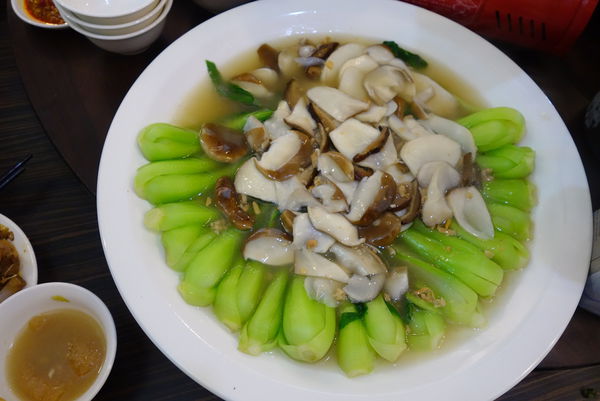 照片 539 照片 539