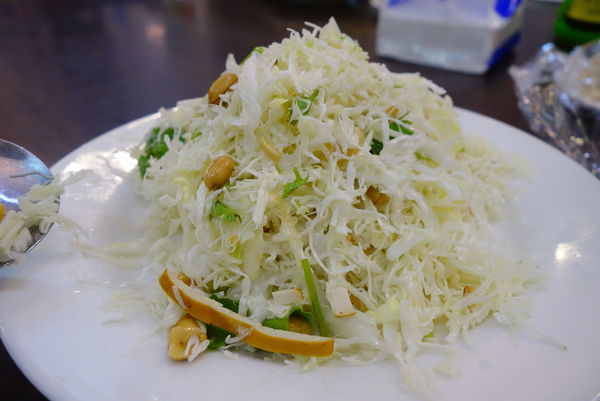 照片 481 照片 481