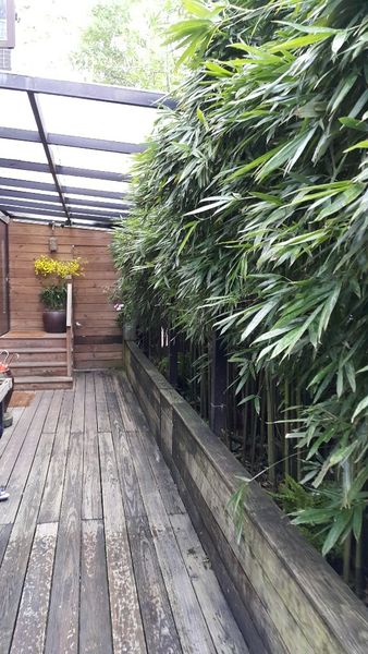 20150809_145044.jpg-143255451