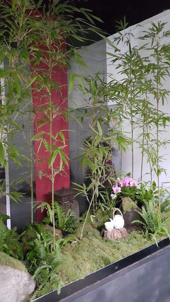 20150809_144859.jpg-1664094630