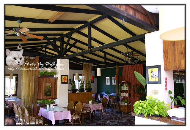 遠離塵囂的桌上遊戲大廝殺－車子109(台北新店)